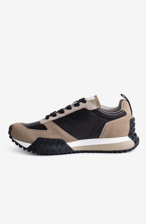 Freshy Smoove Trainer Fresh Sneaker In Multi
