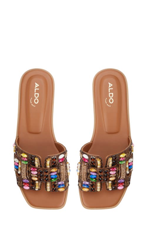 Aldo Women's Eleny Embellished Slide Flat Sandals In Brown Multi