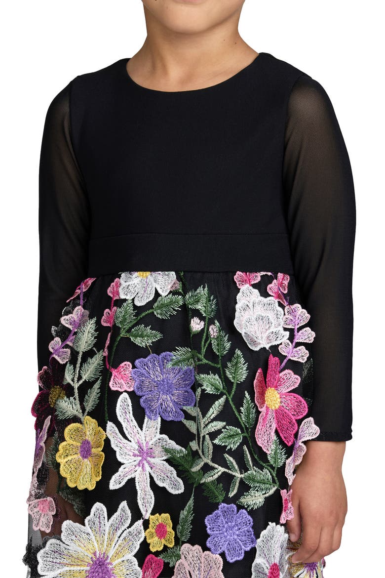 Girls Floral Embroidered Long Sleeve Dress, Alternate, color, Black Multi