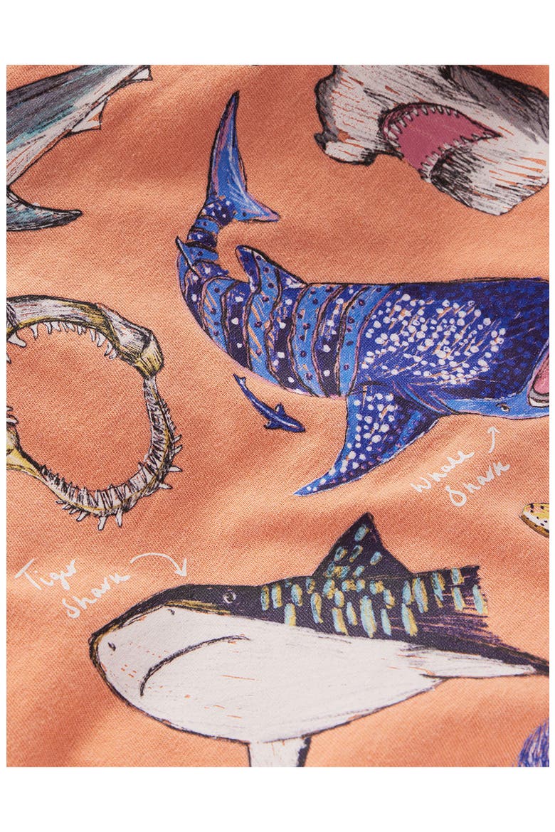 Kids' Educational Graphic T-Shirt, Alternate, color, ORANGE SHARKS
