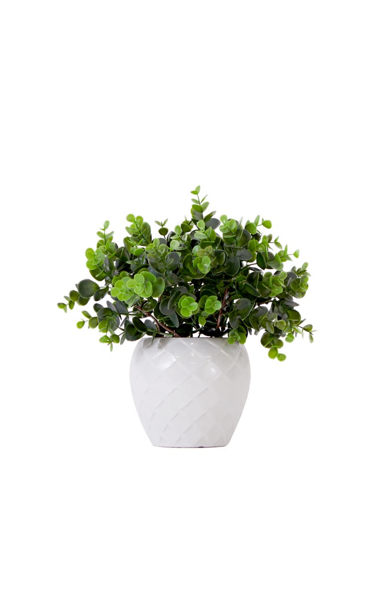 NEARLY NATURAL 11-in Artificial Boxwood Plant with Decorative Planter, Main, color, Green