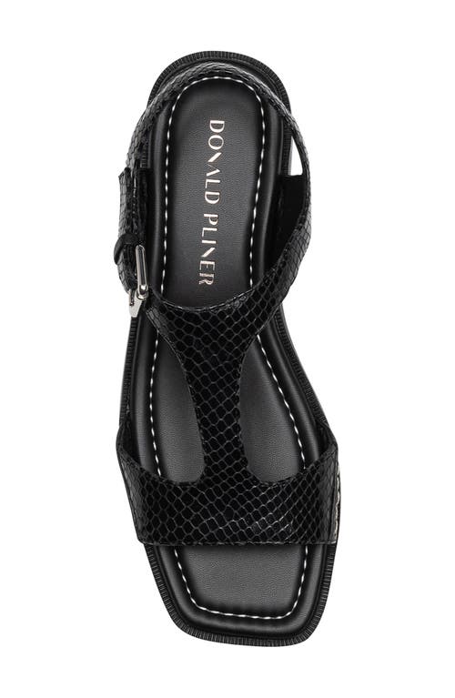 DONALD PLINER DONALD PLINER DRIA T-STRAP SANDAL