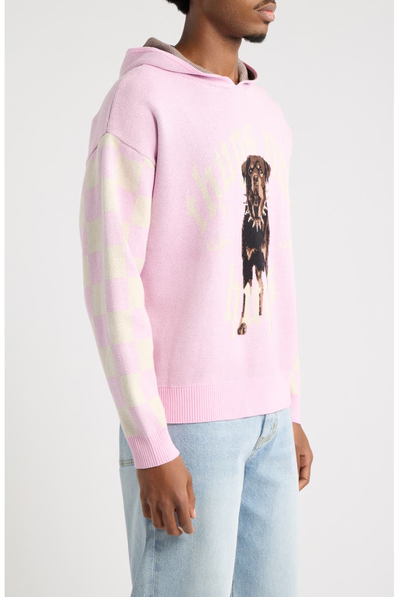 Graphic Cotton Knit Hoodie, Alternate, color, PINK