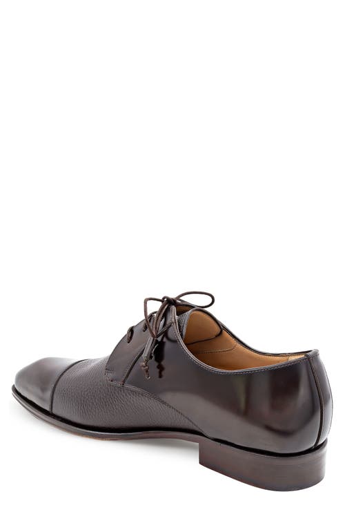 Mezlan Capello Cap Toe Derby In Brown