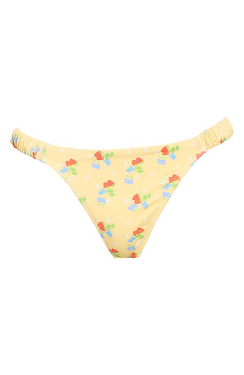 Shop Dippin Daisys Belle Bikini Bottoms
