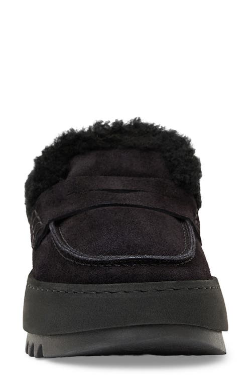 Aquatalia Amata Genuine Shearling Lined Mule In Black