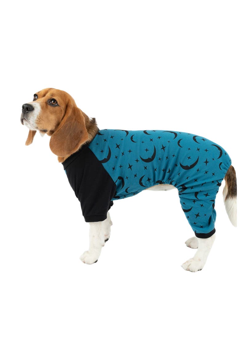 Dog Cotton Matching Family Pajamas, Fun & Novelty Prints, Main, color, Moon