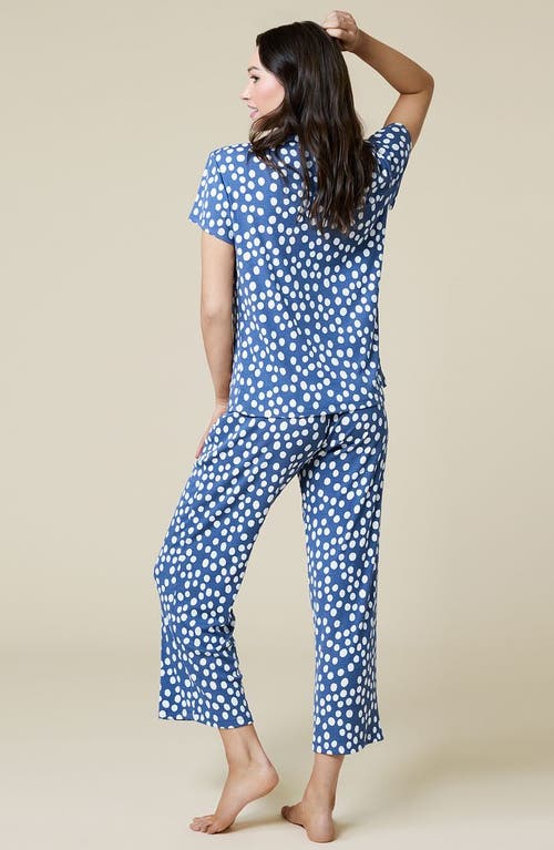 Softies Aria In Indigo Dot