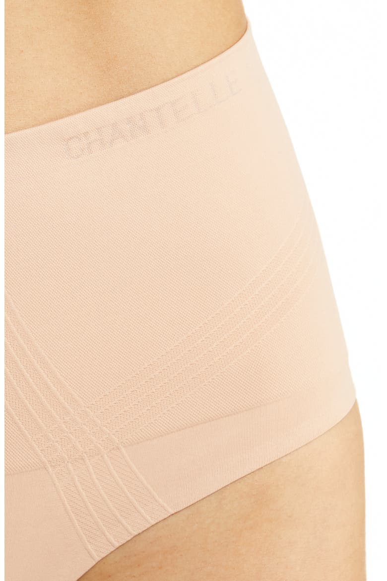 Smooth Comfort High Waist Thong, Alternate, color, CLAY NUDE-0Q