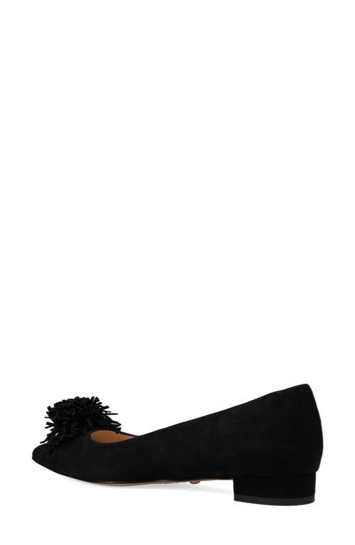Pelle Moda Aaila Pointed Toe Flat In Black