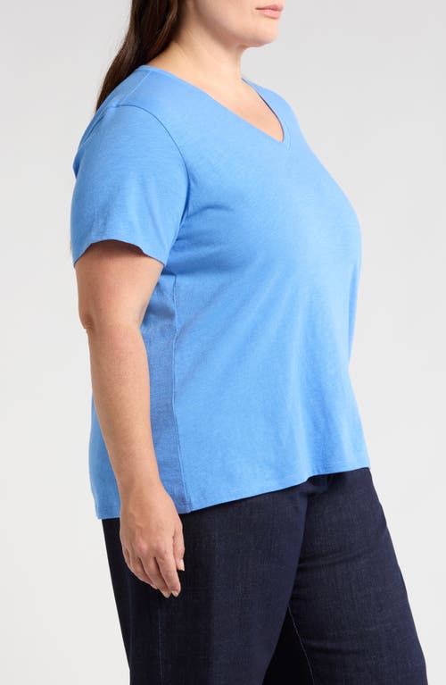 Eileen Fisher Easy V-neck Organic Cotton T-shirt In Ultramarine