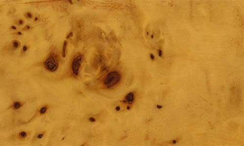 Zodax Bubbo Burl Decorative Box In Brown
