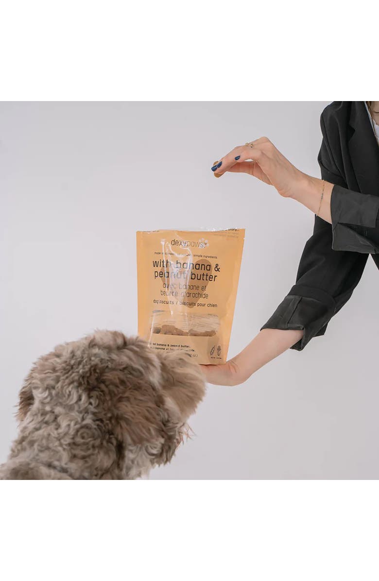 Dexypaws Banana, Oat 
Peanut Butter Dog Biscuits 12oz, Alternate, color, Brown