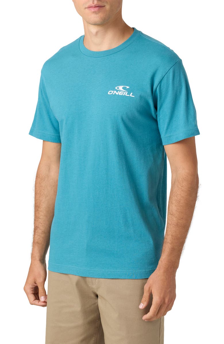 O'Neill Blended Floral Logo Graphic T-Shirt, Alternate, color, 