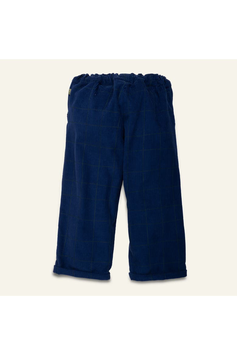 Grid Corduroy Pant, Alternate, color, Navy