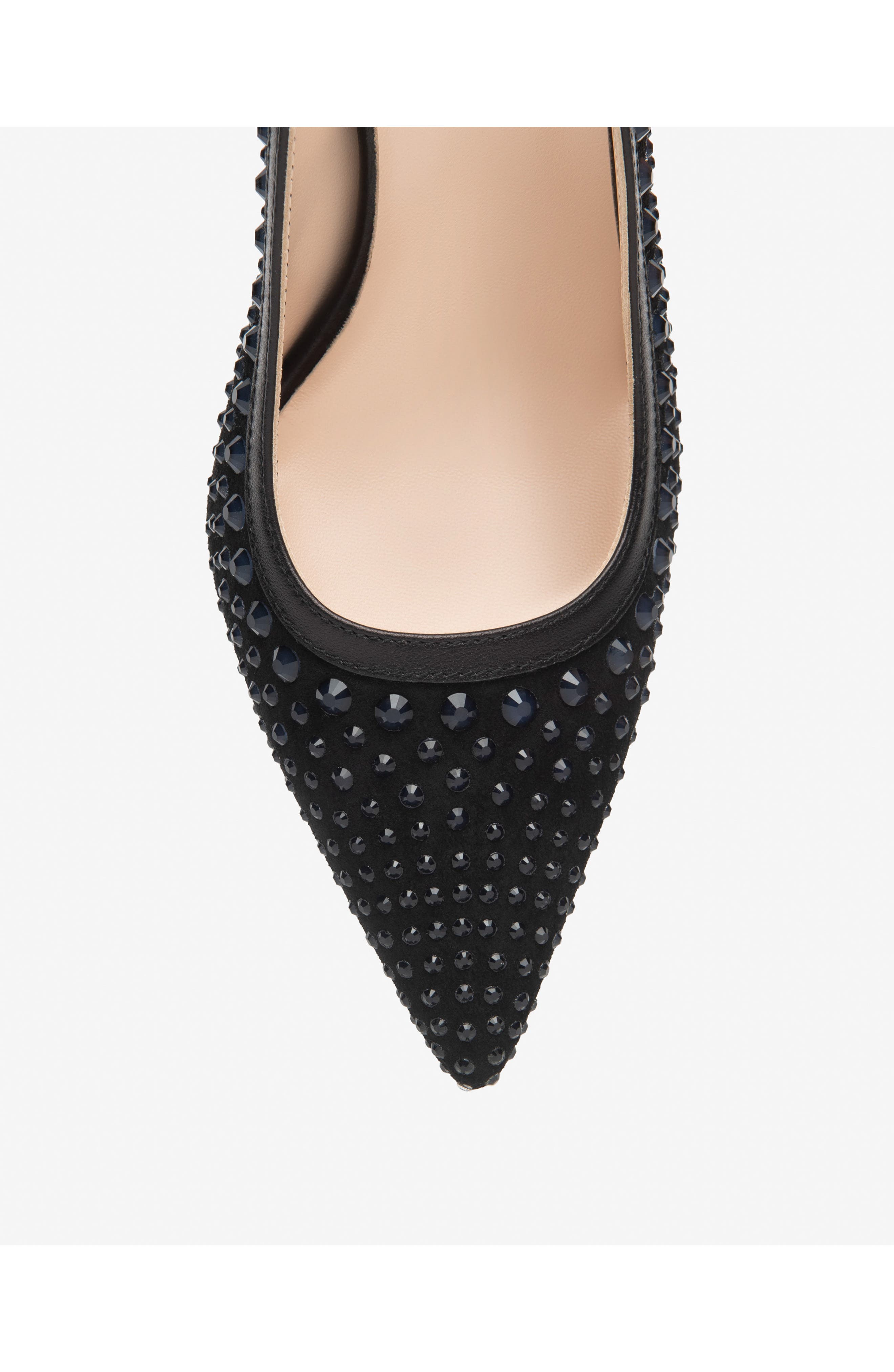 NeroGiardini Embellished Slingback Pointed Toe Pump, Alternate, color, Black
