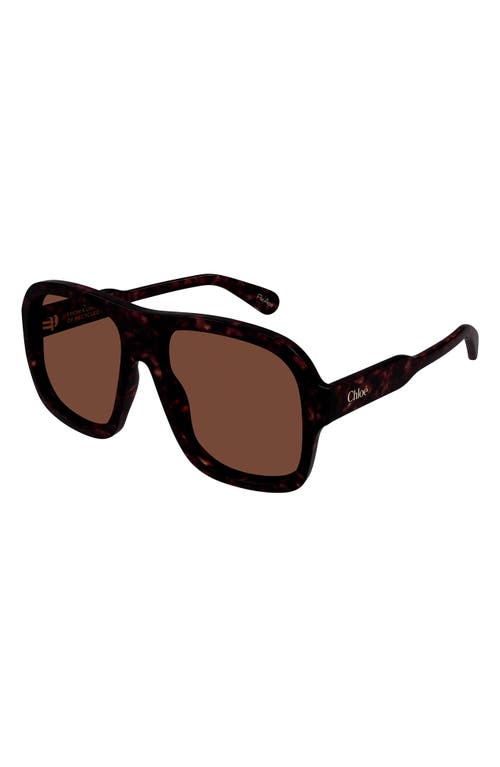 Chloé 58mm Pilot Sunglasses In Brown