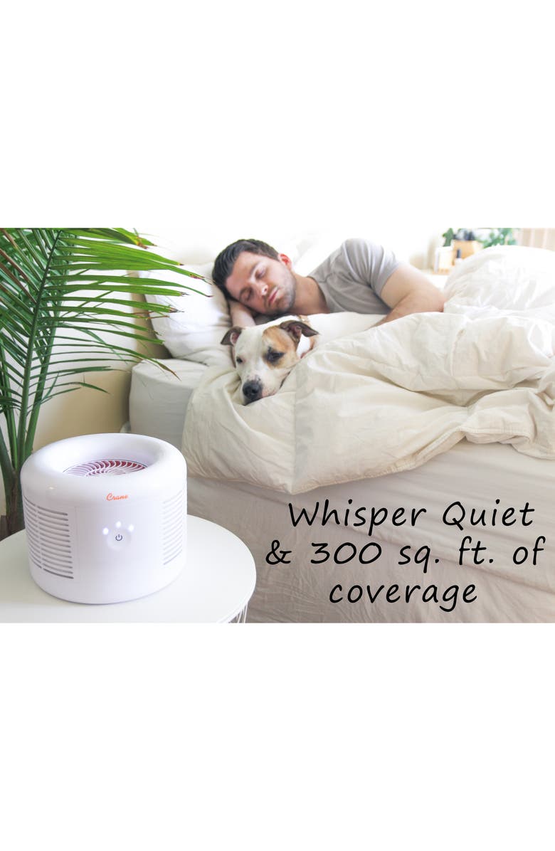 Crane Air HEPA Air Purifier, Alternate, color, White