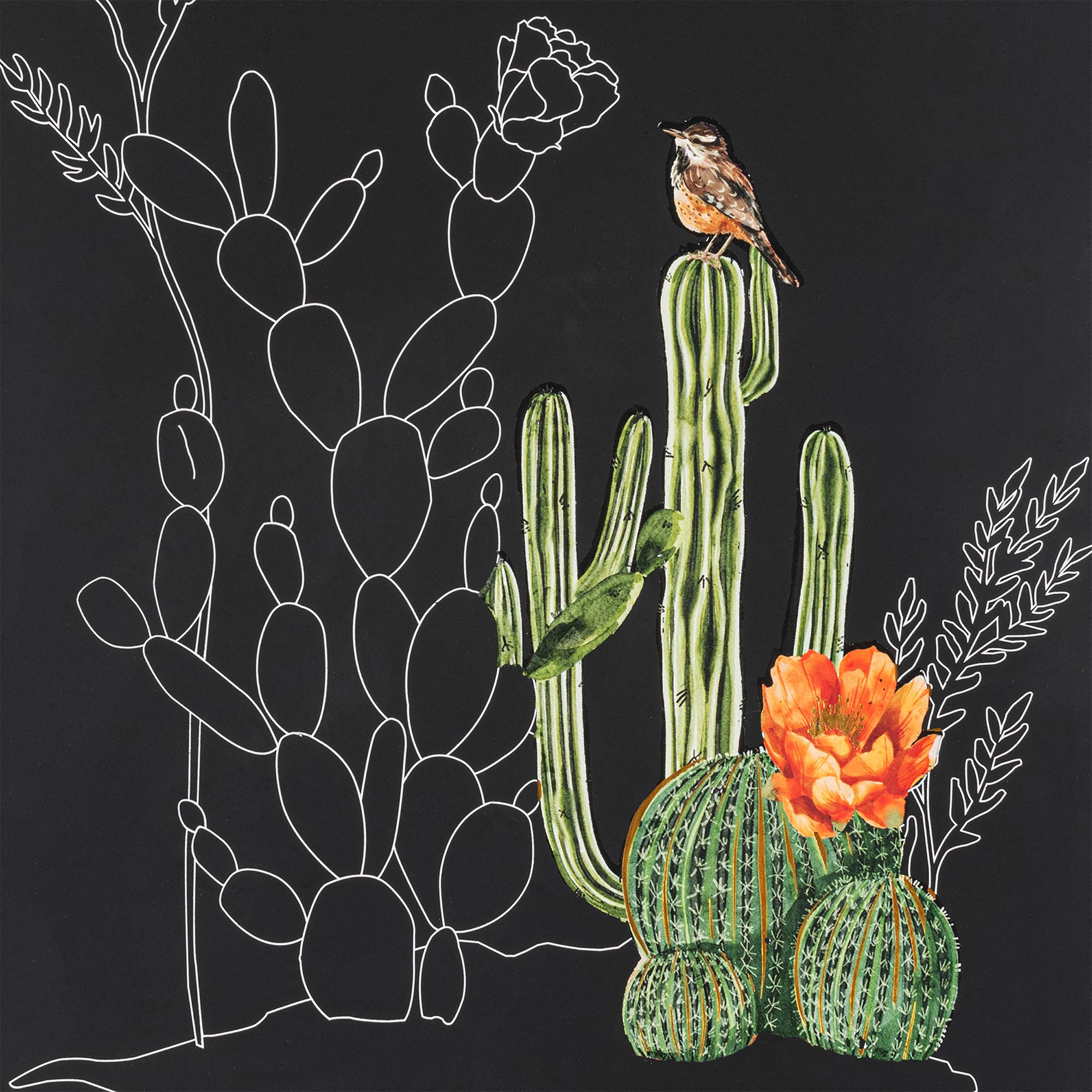 Brea Reese Scratch Art Paper Pad Cactus | Nordstrom