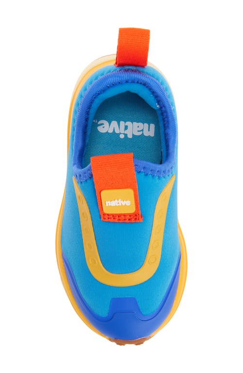 Native Shoes Robbie Dash Slip-on Sneaker In Blue