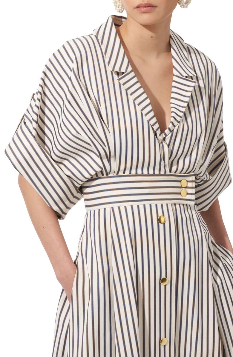 Carolina Herrera Stripe Dropped Shoulder Shirtdress, Alternate, color, 