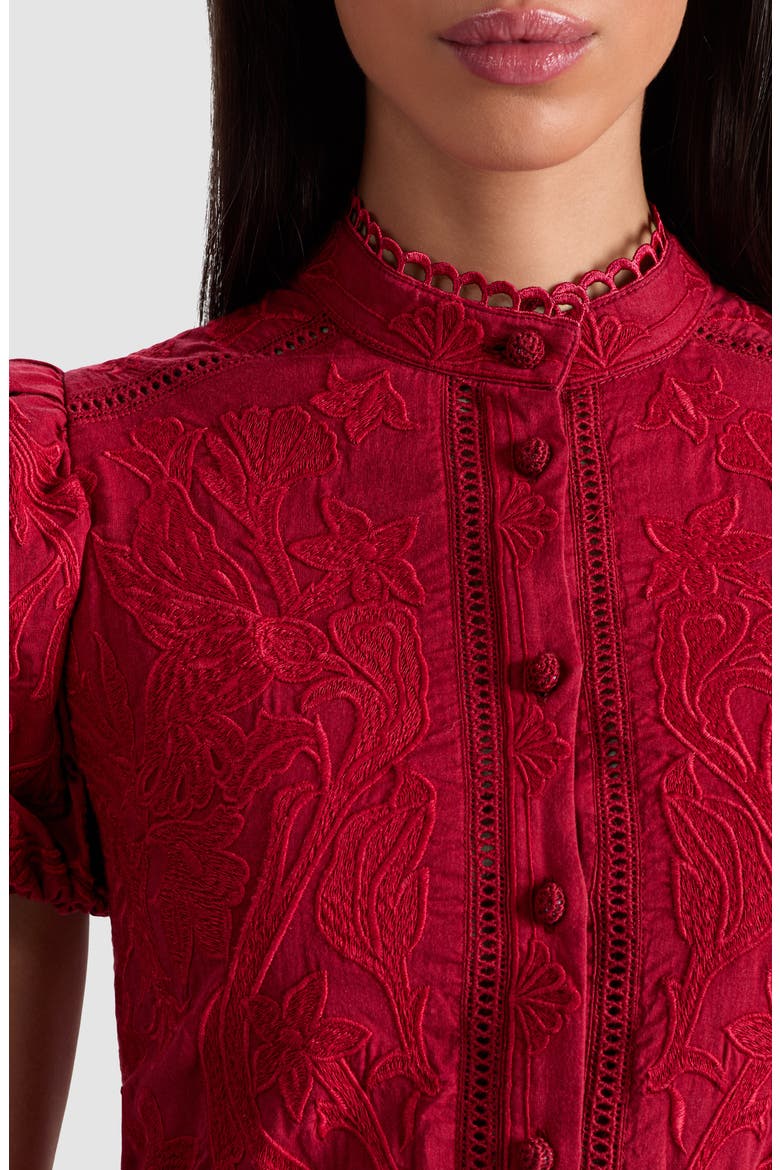 Loryn Embroidered Cotton Minidress, Alternate, color, DARK CHERRY