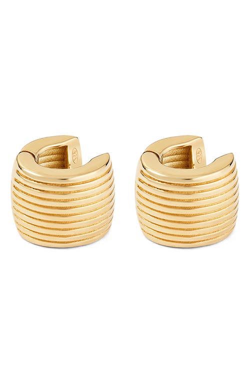 Ivi Los Angeles Round Aurelia Huggie Hoop Earrings In Yellow Gold