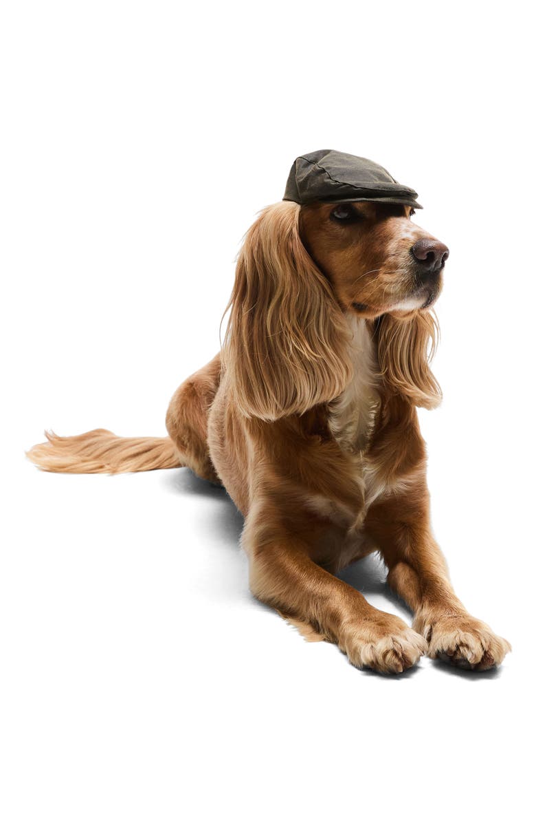 Barbour Wax Cotton Dog Flat Cap, Main, color, 