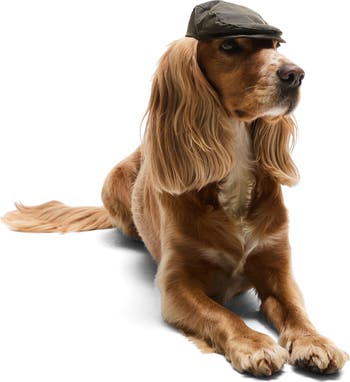 Barbour Wax Cotton Dog Flat Cap Nordstrom