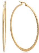 STEELTIME 18K Gold Plated Stainless Steel Hoop Earrings