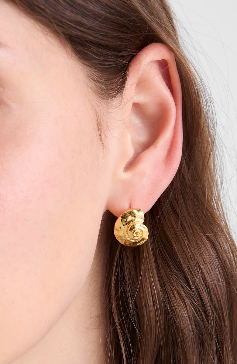 Madewell Shell Hoop Earrings, Alternate, color, Antique Gold