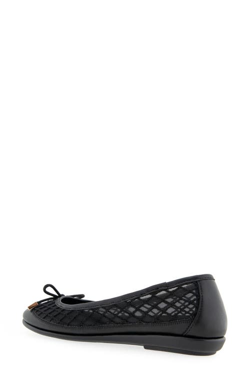 AEROSOLES AEROSOLES BRIA BALLET FLAT 