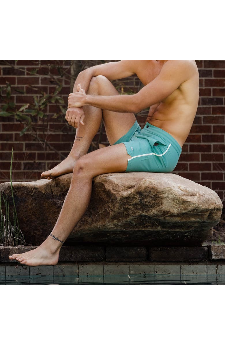 Myles Apparel Sutro Swim Trunk, Alternate, color, Green Gray