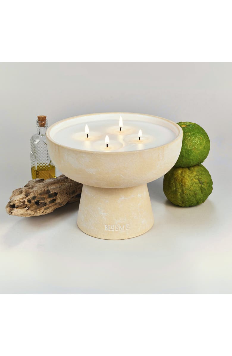 Blueme Nostalgia Large Ceramic Candle, Alternate, color, 