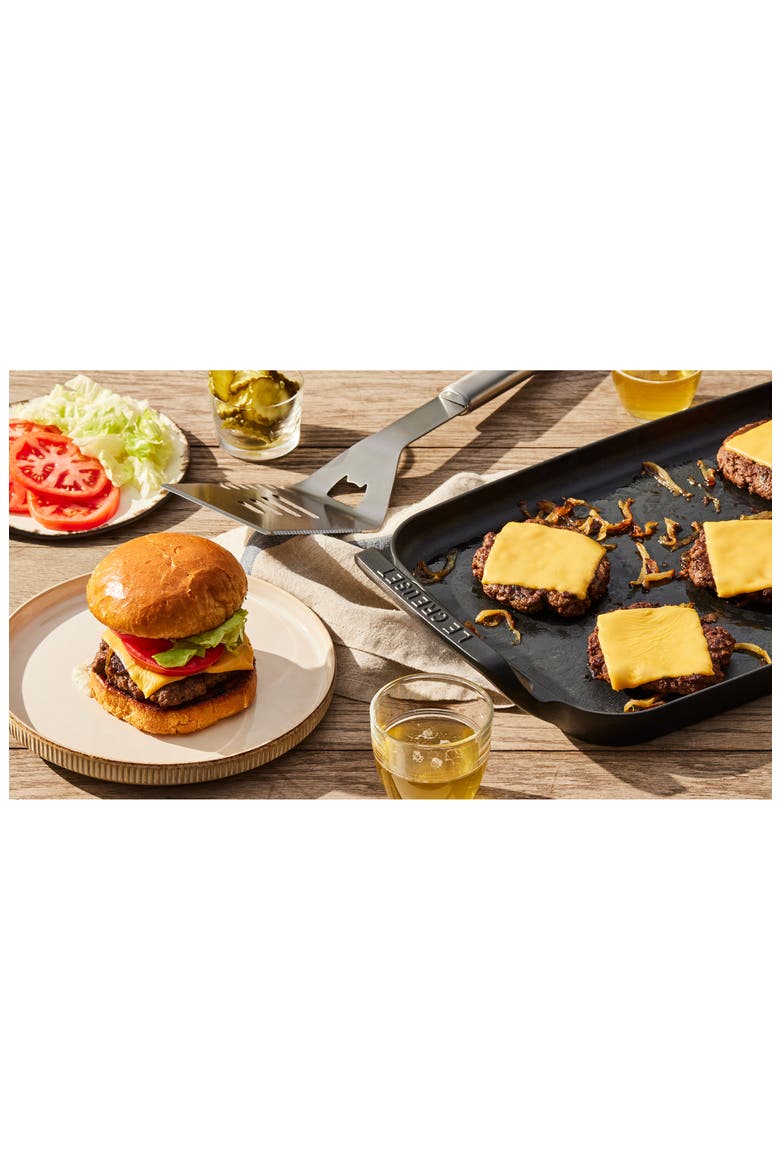Alpine Outdoor Rectangular Griddle, Alternate, color, MATTE BLACK