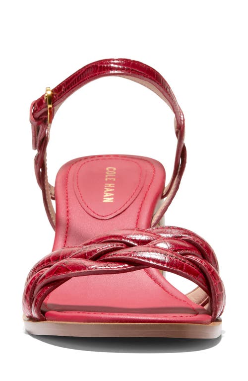 Cole Haan Ambrose Braid Ankle Strap Sandal