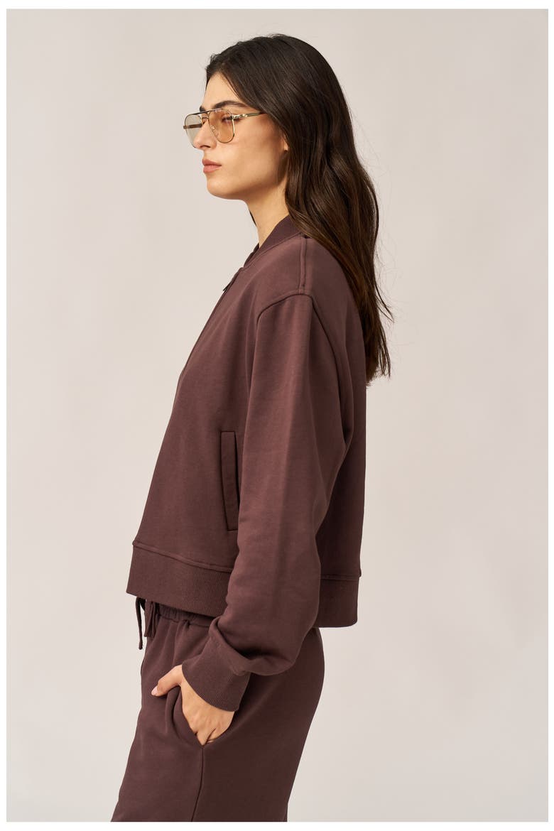 Cozy Coast Airport Bomber Sweatshirt, Alternate, color, Brown