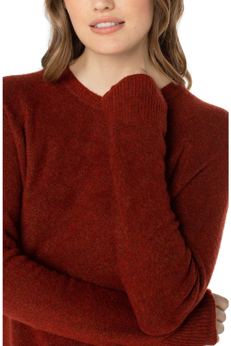 Raglan Sleeve Sweater, Alternate, color, SAFFRON HEATHER