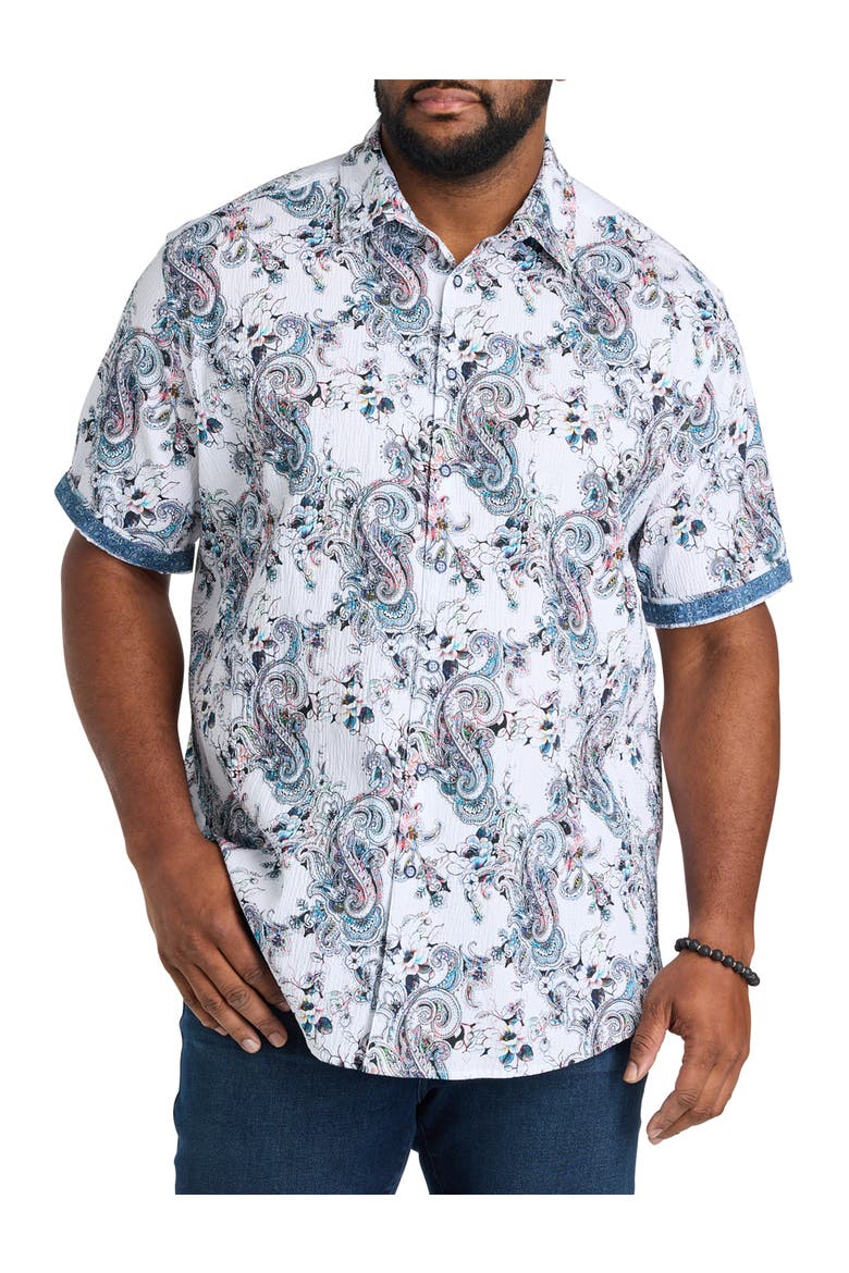 Big & Tall  Pickwick Sport Shirt, Alternate, color, MULTI