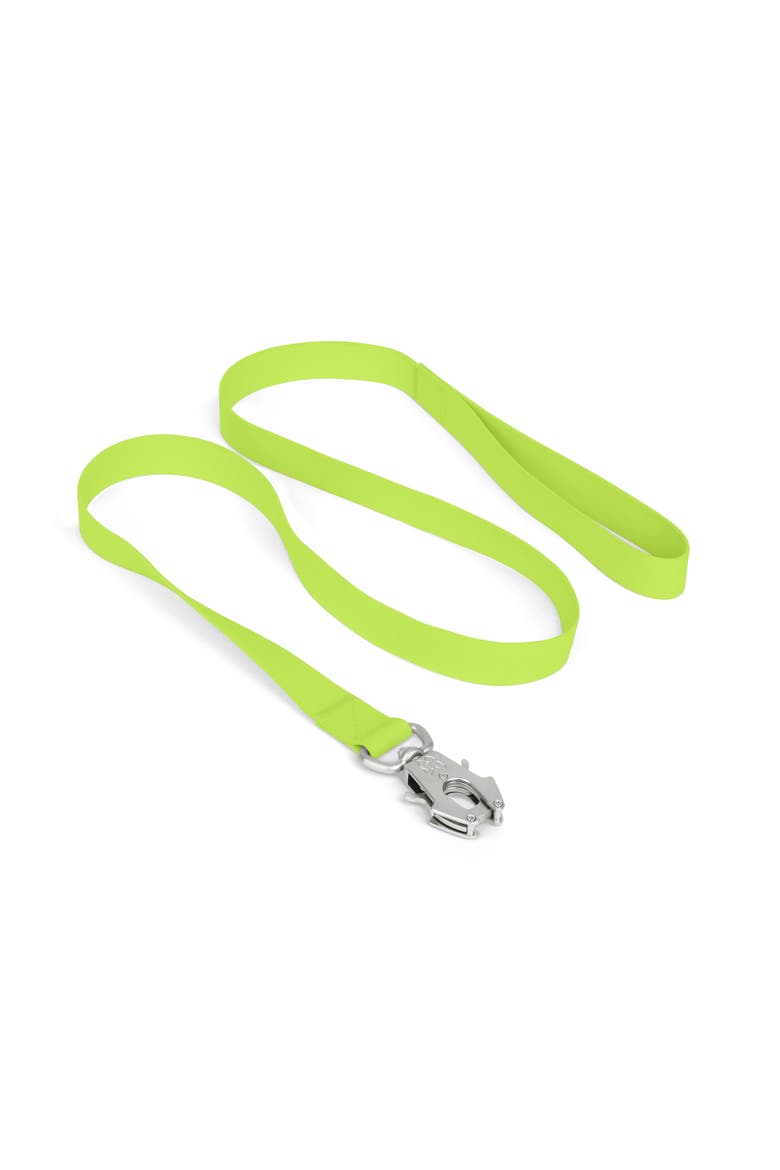Waterproof Poly-Flex Sport Dog Leash, Main, color, Green