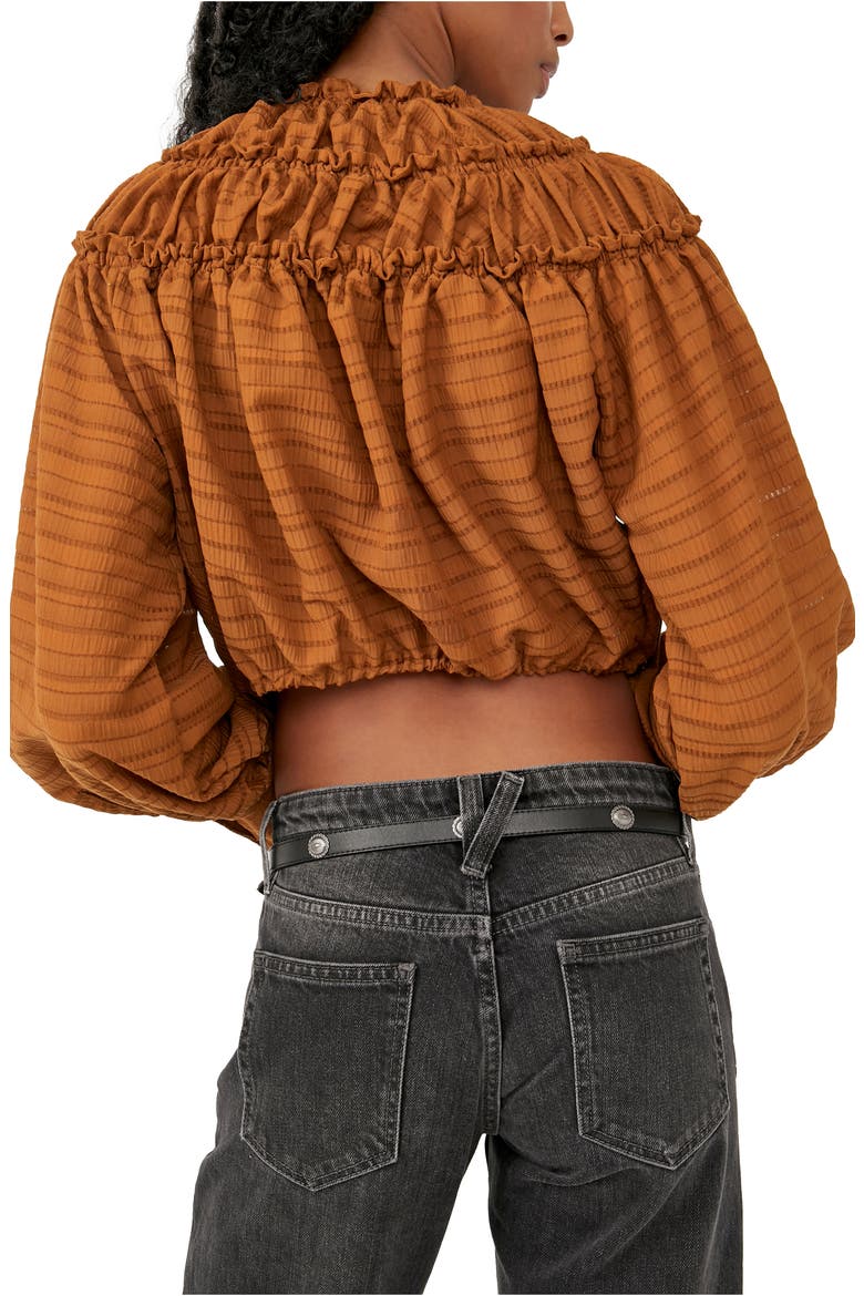 Hailey Crop Long Sleeve Blouse, Alternate, color, GLAZED GINGER