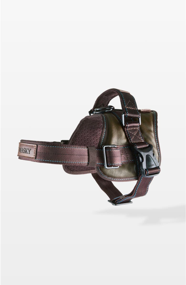 Masky Signature Leather Dog Harness, Main, color, Medium Green
