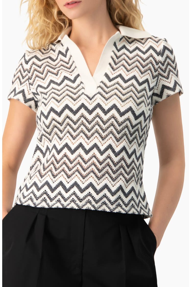 Multicolor Chevron Knit Collared Polo Blouse, Main, color, White