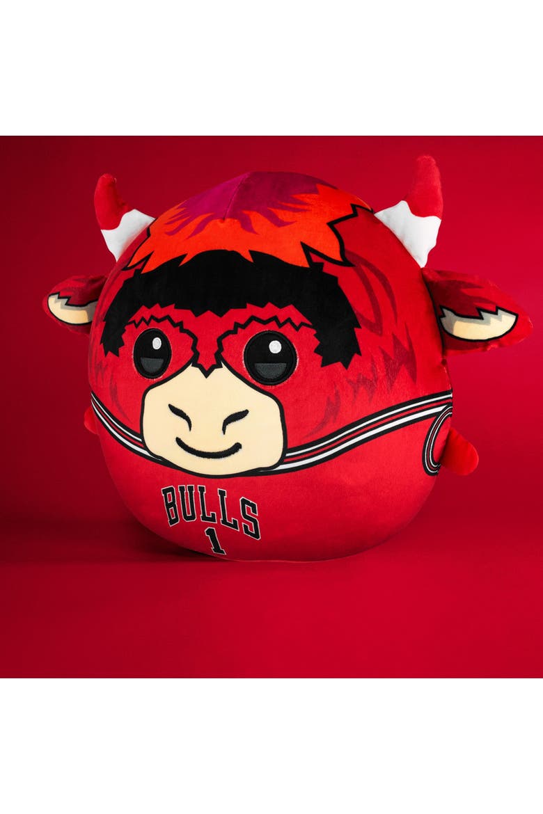Chicago Bulls Benny The Bull 12" Kiri Cloud Plushie, Alternate, color, None