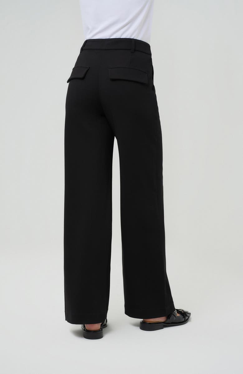 Anatomie Solstice Wide Leg Pant, Alternate, color, 