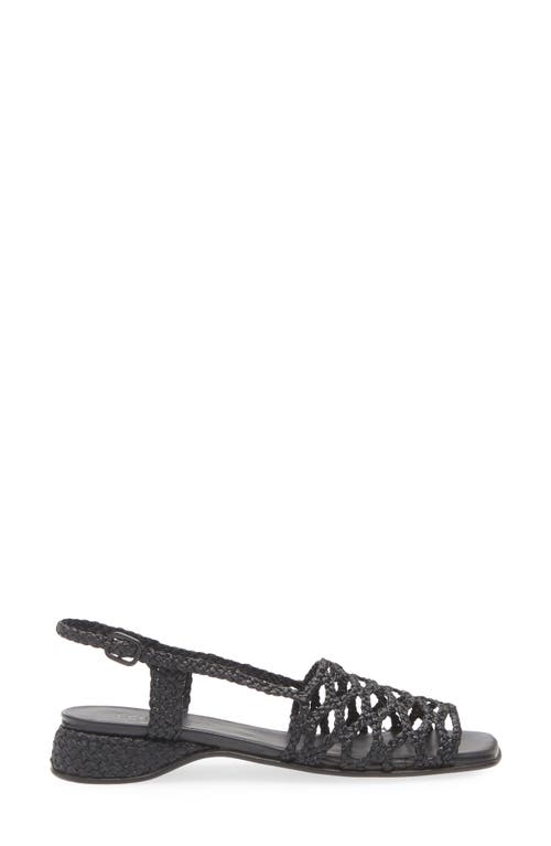 Hereu Alzira Raffia Slingback Sandal In Black
