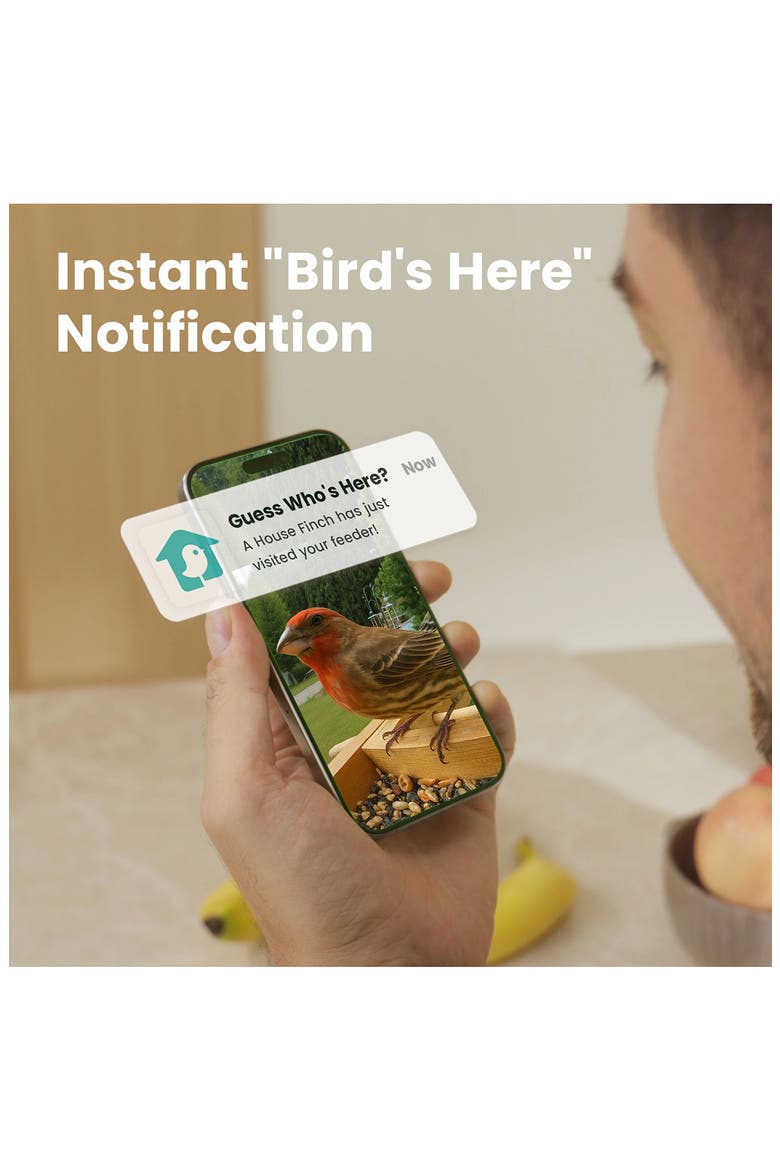 Bamboo Mini AI Solar Powered Bird Feeder, Alternate, color, NO COLOR