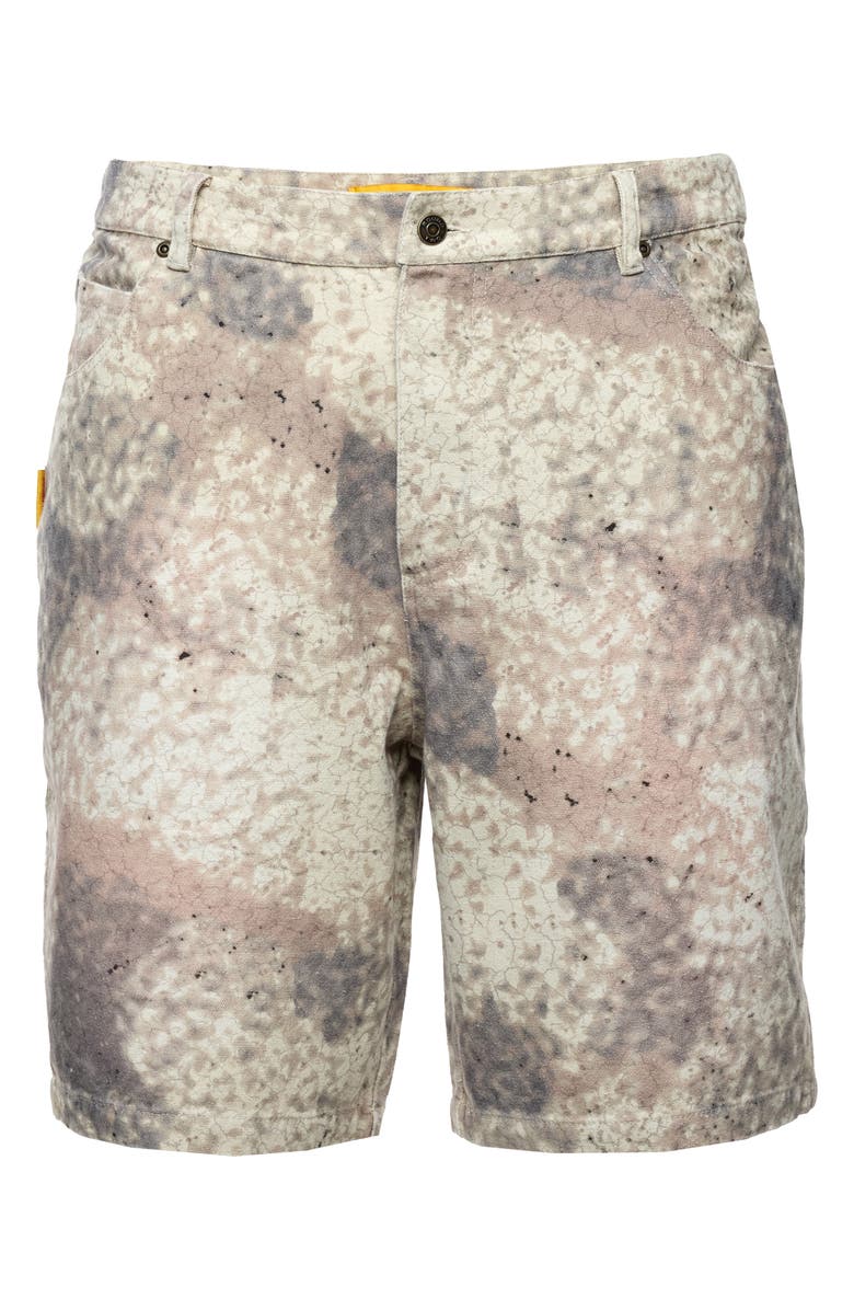 Round Two Armadillo Shell Print Flat Front Cotton Shorts, Alternate, color, Armadillo