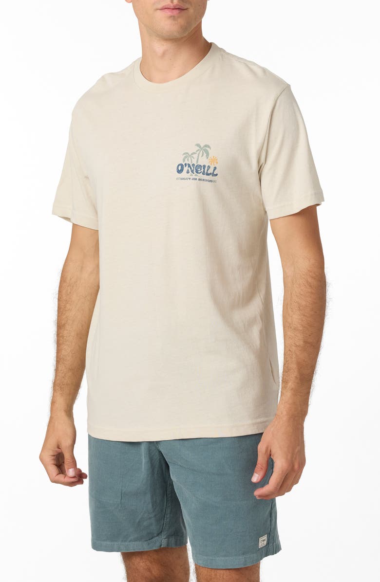 O'Neill Loose Graphic T-Shirt, Alternate, color, 