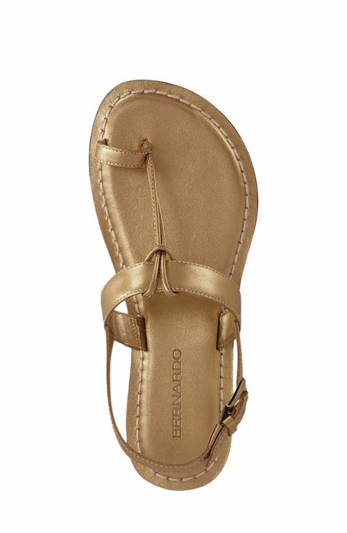 Shop Bernardo Footwear Maverick 2 Toe Ring Sandal In Gold